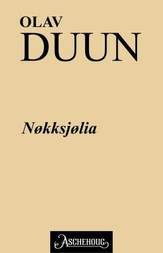 Nøkksjølia (ebok) av Olav Duun
