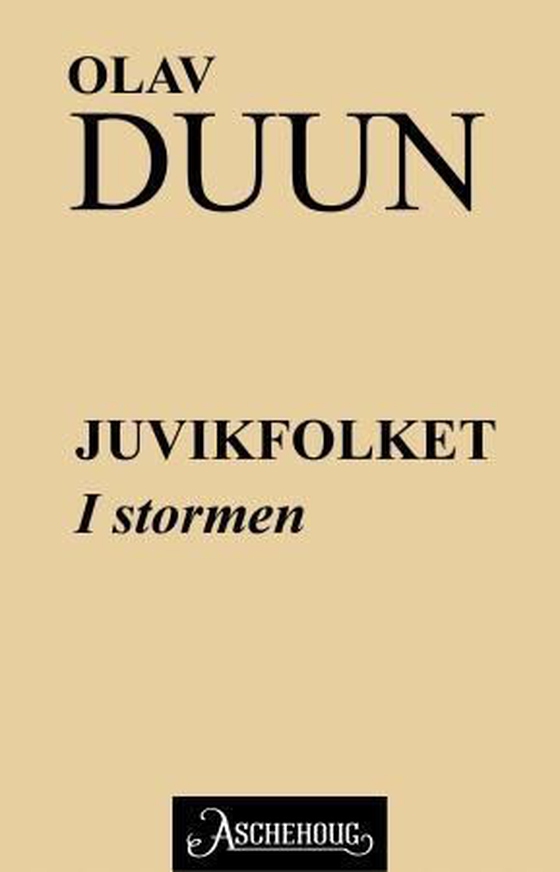 I stormen (ebok) av Olav Duun