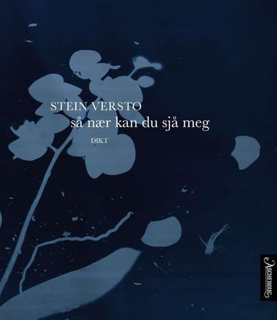 Så nær kan du sjå meg - dikt (ebok) av Stein Versto