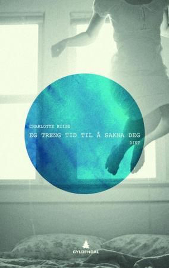 Eg treng tid til å sakna deg - dikt (ebok) av Charlotte Riise