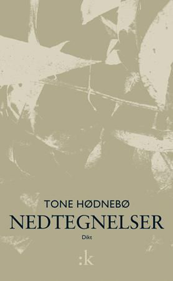Nedtegnelser