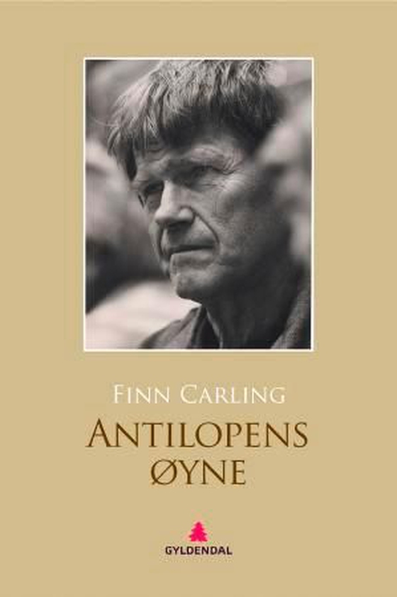 Antilopens øyne