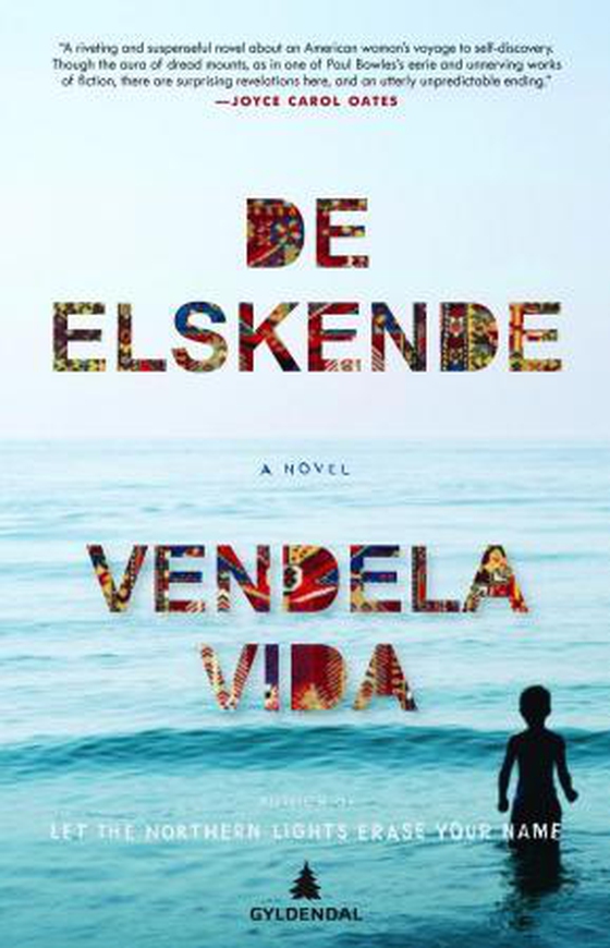 De elskende (ebok) av Vendela Vida