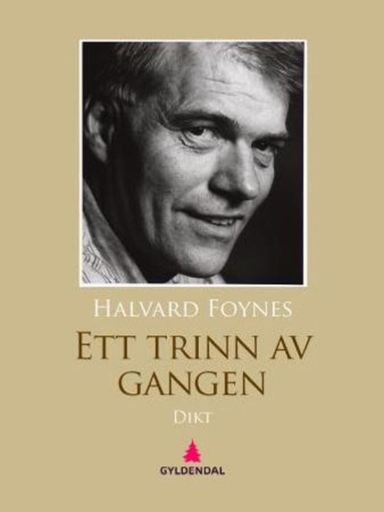 Ett trinn av gangen