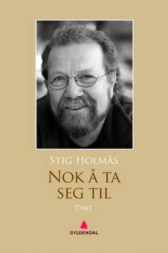 Nok å ta seg til