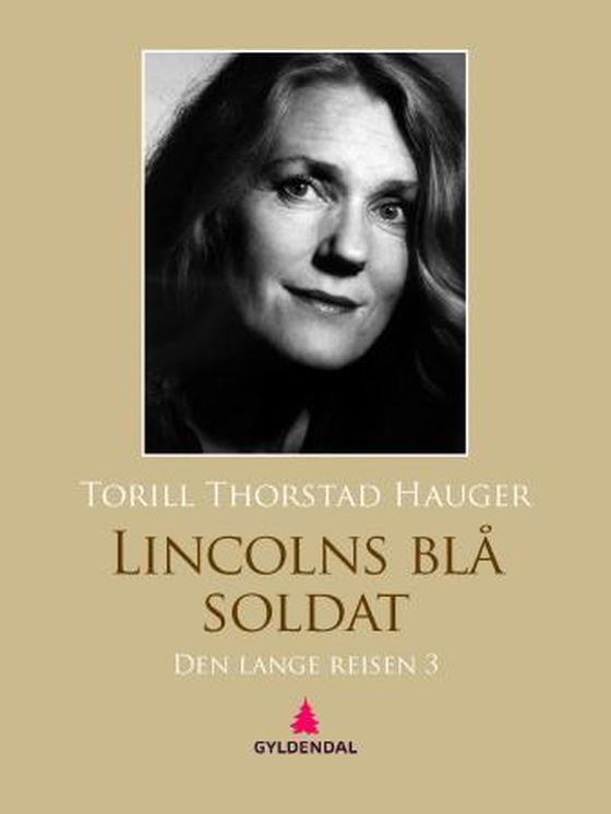 Den lange reisen - del 3 - Lincolns blå soldat (ebok) av Torill Thorstad Hauger