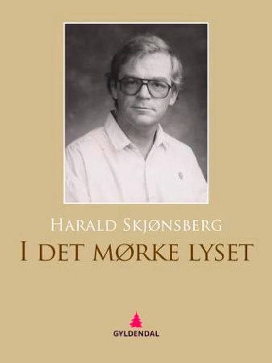 I det mørke lyset