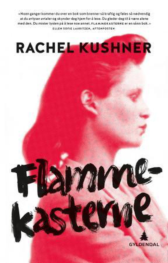 Flammekasterne (ebok) av Rachel Kushner