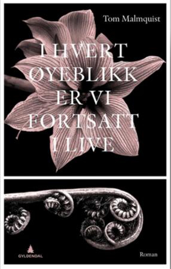 I hvert øyeblikk er vi fortsatt i live (ebok) av Tom Malmquist