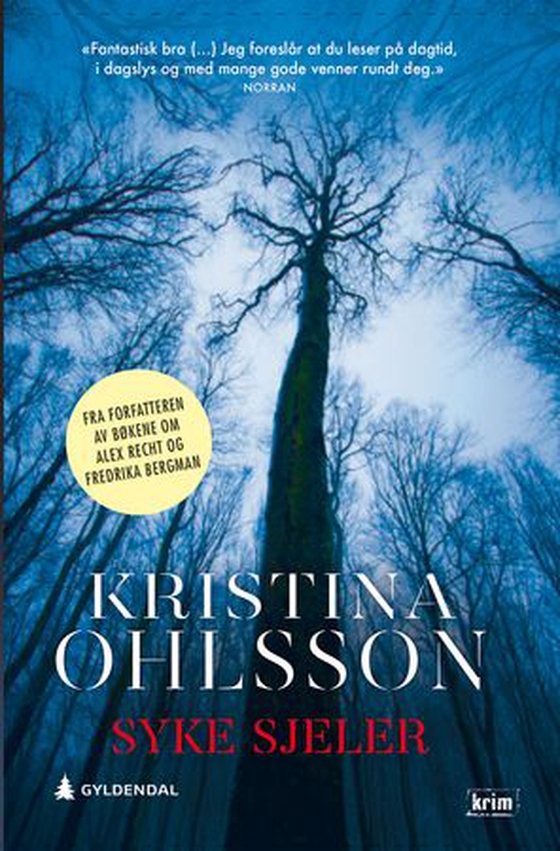 Syke sjeler (ebok) av Kristina Ohlsson