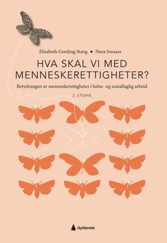 Hva skal vi med menneskerettigheter?