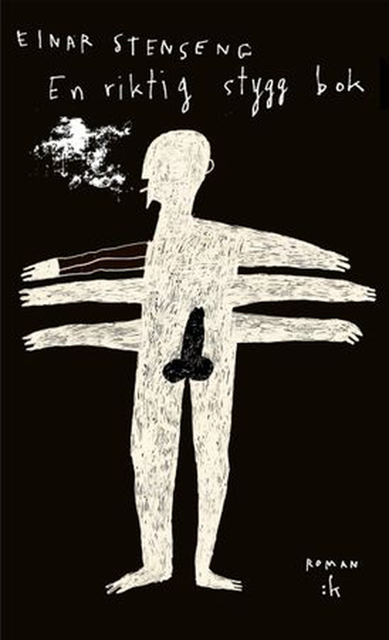 En riktig stygg bok - roman (ebok) av Einar Stenseng