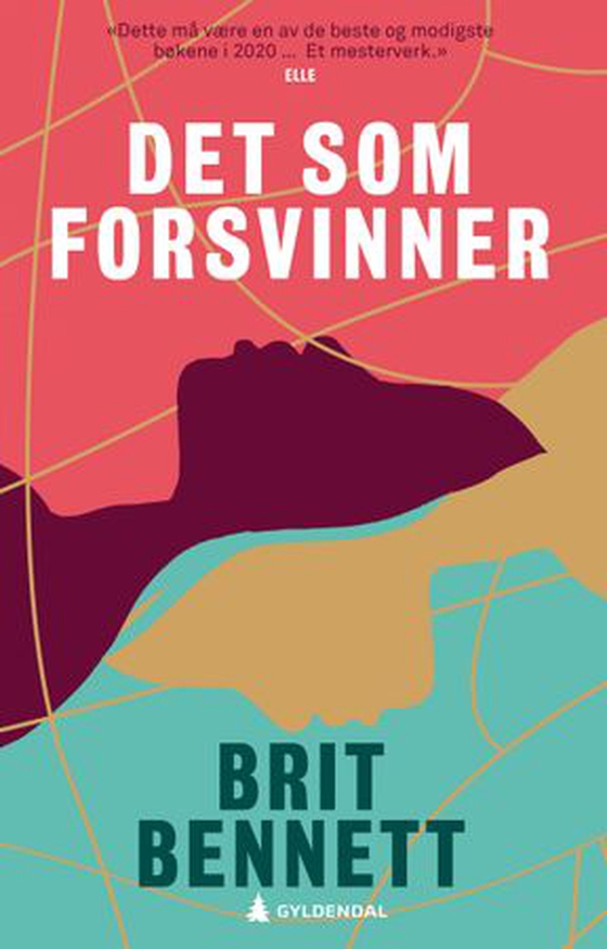 Det som forsvinner (ebok) av Brit Bennett