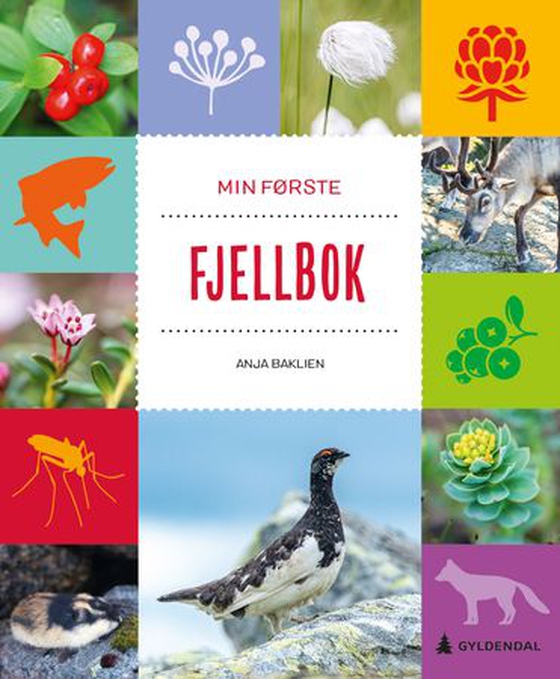 Min første fjellbok (ebok) av Anja Baklien