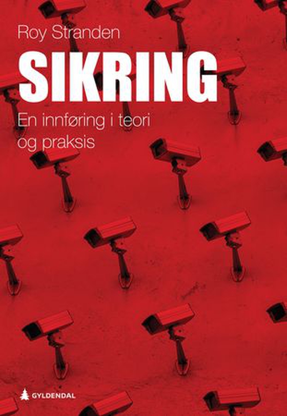 Sikring - en innføring i teori og praksis (ebok) av Roy Stranden
