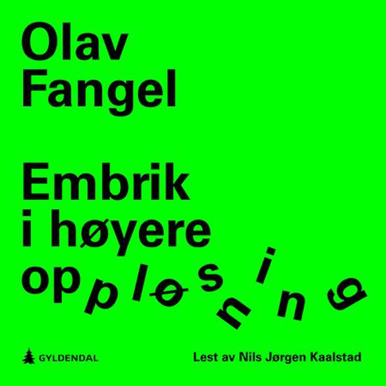 Embrik i høyere oppløsning (lydbok) av Olav Fangel