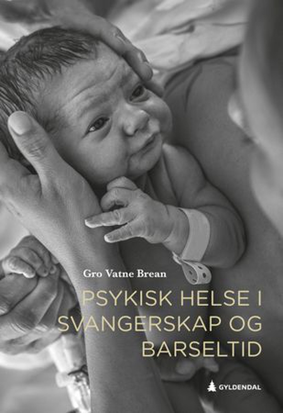 Psykisk helse i svangerskap og barseltid (ebok) av Gro Vatne Brean