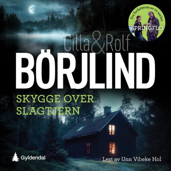 Skygge over Slagtjern