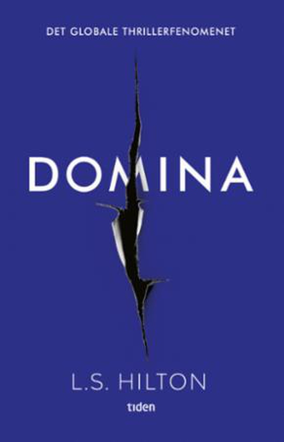 Domina - thriller (ebok) av L.S. Hilton