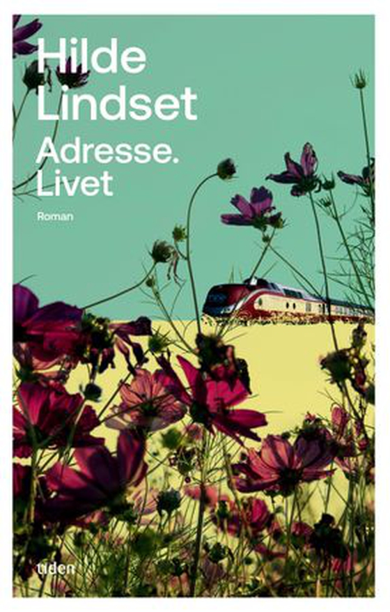 Adresse. Livet - roman (ebok) av Hilde Lindset