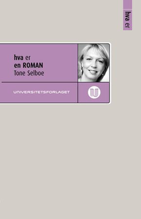 Hva er en roman (ebok) av Tone Selboe