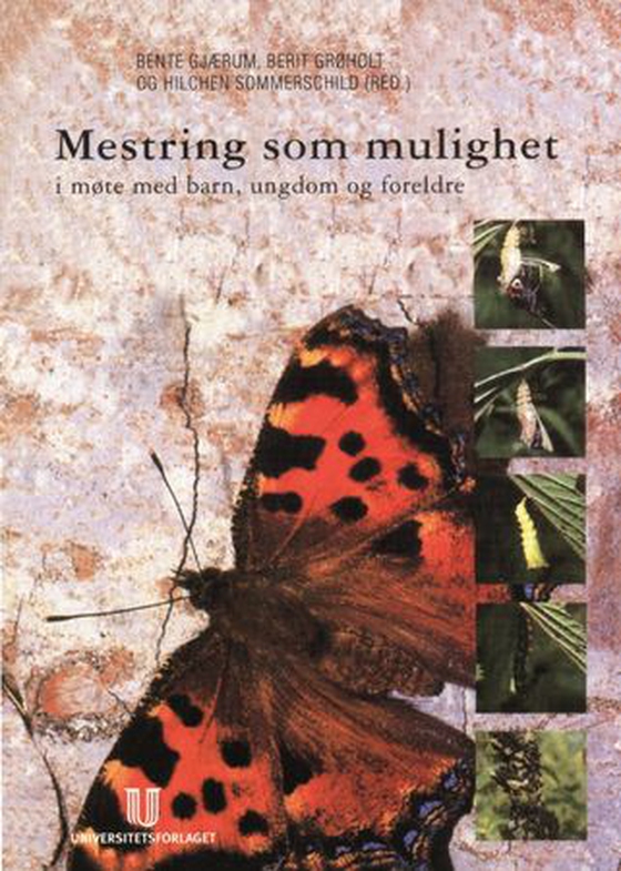 Mestring som mulighet - i møte med barn, ungdom og foreldre (ebok) av Berit Grøholt