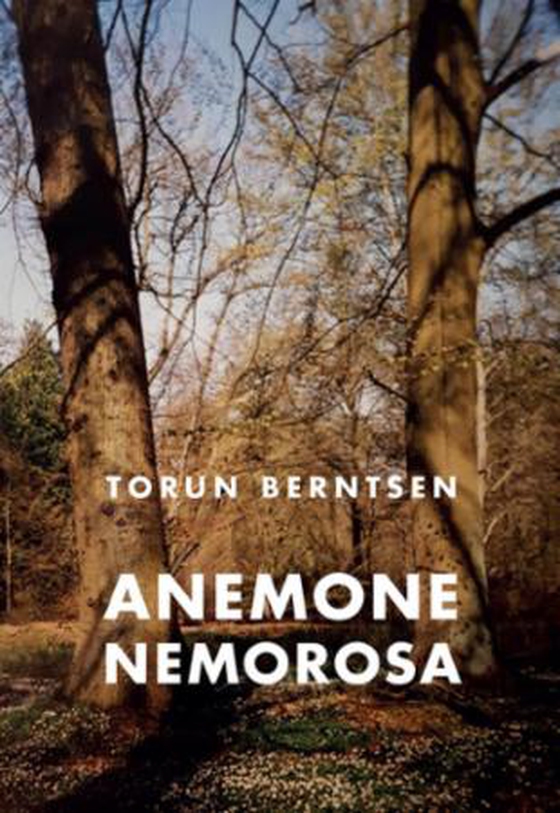 Anemone nemorosa