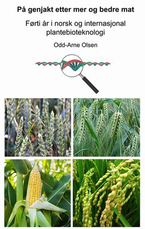 På genjakt etter mer og bedre mat