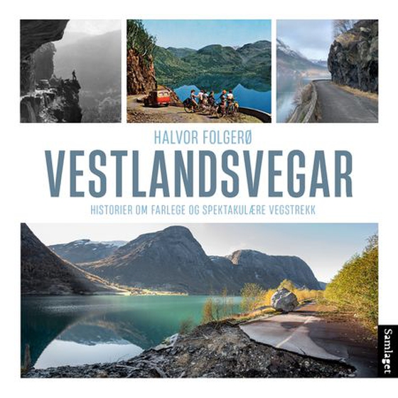Vestlandsvegar
