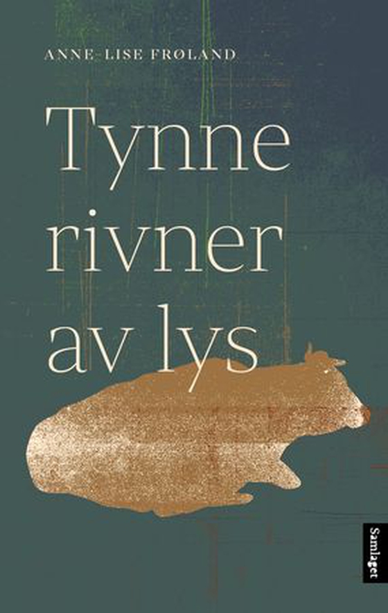 Tynne rivner av lys