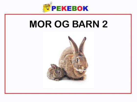 Mor og barn 2