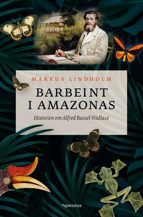 Barbeint i Amazonas