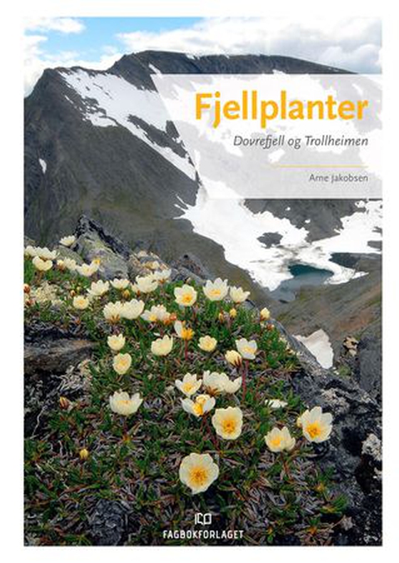 Fjellplanter