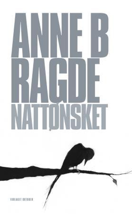 Nattønsket (ebok) av Anne Birkefeldt Ragde