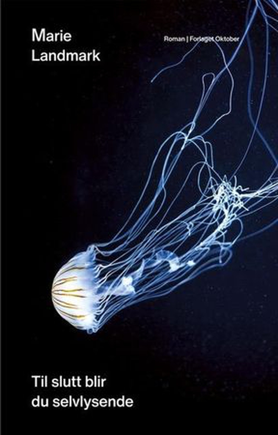 Til slutt blir du selvlysende - roman (ebok) av Marie Landmark