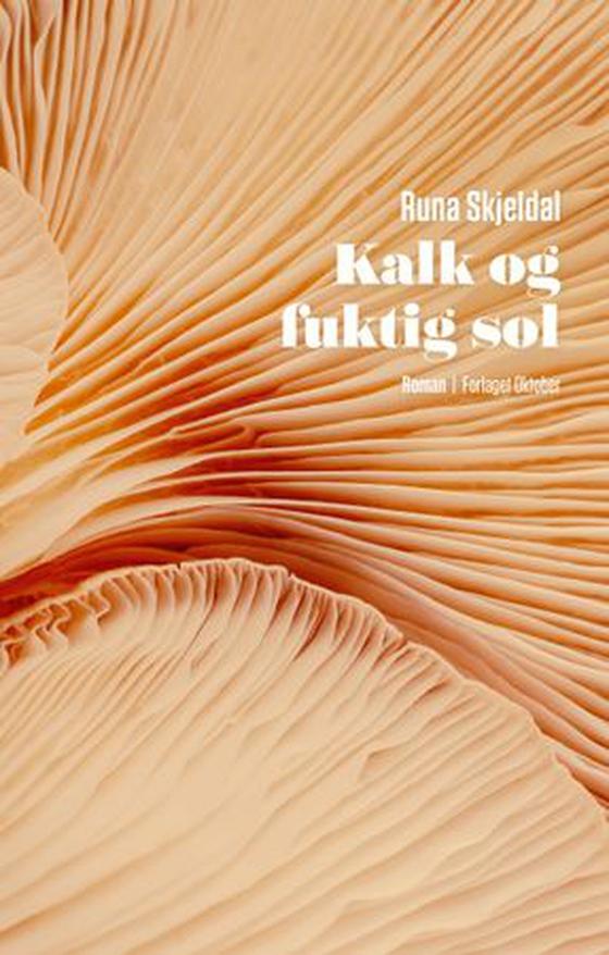 Kalk og fuktig sol - roman (ebok) av Runa Skjeldal