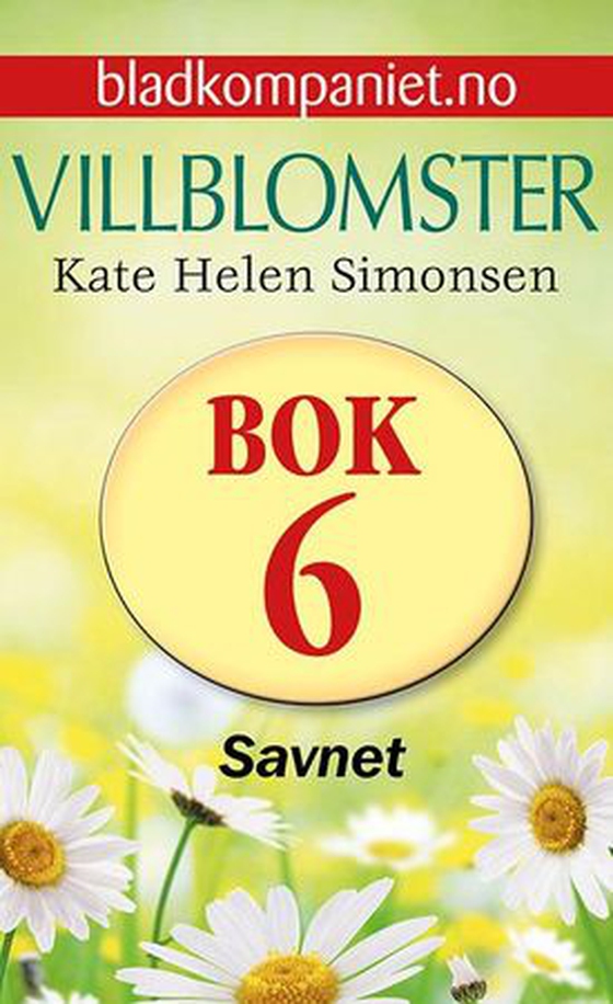 Savnet (ebok) av Kate Helen Simonsen