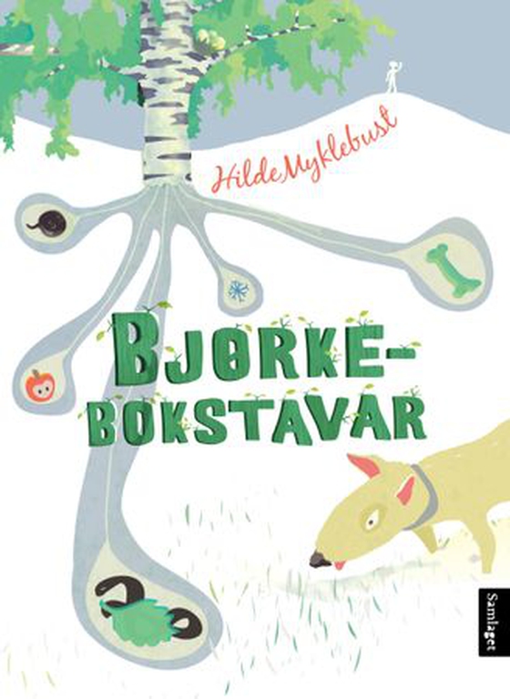 Bjørkebokstavar