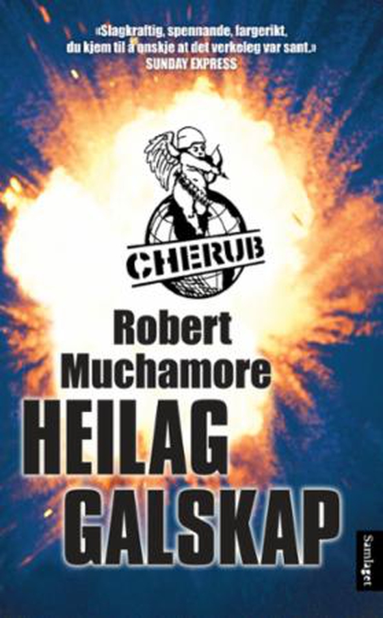 Heilag galskap