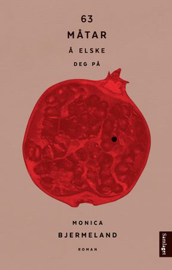 63 måtar å elske deg på - roman (ebok) av Monica Bjermeland