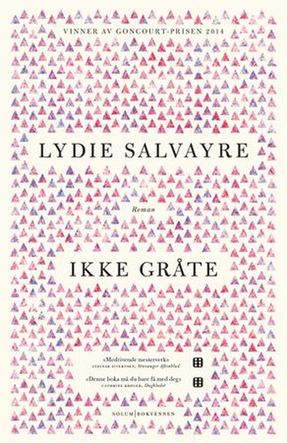 Ikke gråte - roman (ebok) av Lydie Salvayre