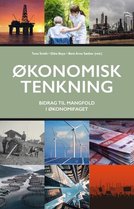 Økonomisk tenkning - bidrag til mangfold i økonomifaget (ebok) av -