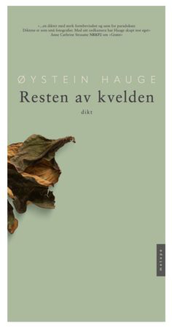 Resten av kvelden
