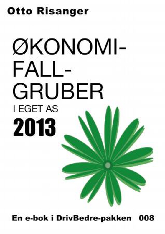 Økonomifallgruber i eget AS 2013