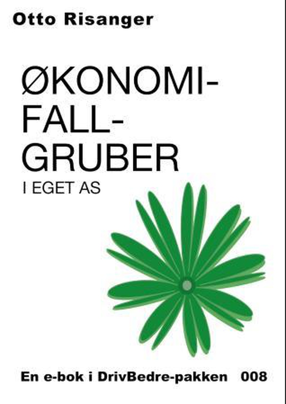 Økonomifallgruber i eget AS