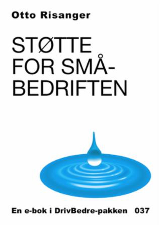 Støtte for småbedriften (ebok) av Otto Risanger