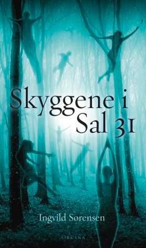 Skyggene i Sal 31