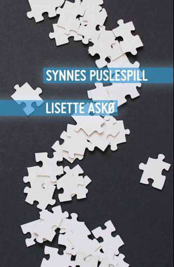 Synnes puslespill (ebok) av Lisette Askø