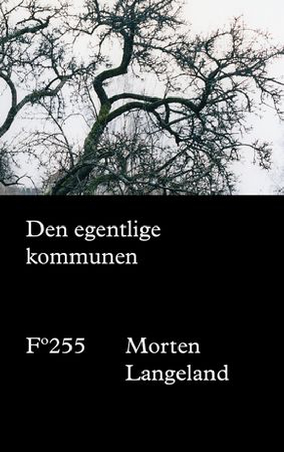 Den egentlige kommunen