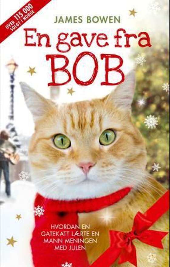 En gave fra Bob (ebok) av James Bowen